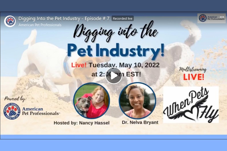 Nancy Hassel on Digging into the Pet Industry