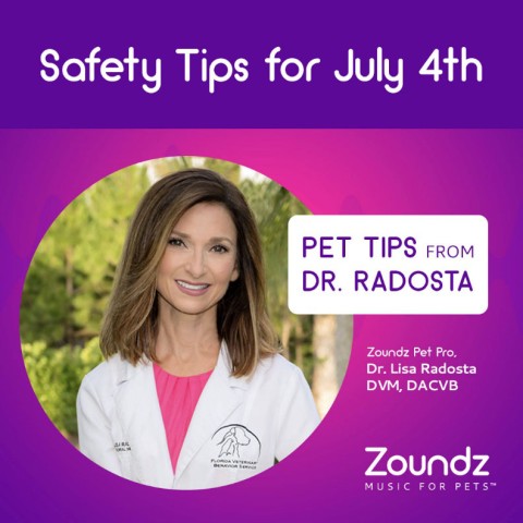 Tips to keep your pets safe during 4th of July festivities!