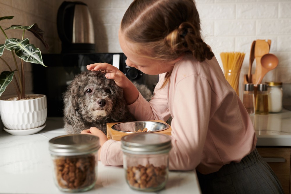 Pet Nutrition: A Personalized Approach