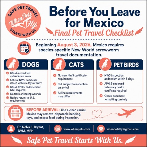 Before You Leave for Mexico: Final Pet-Travel Checklist
