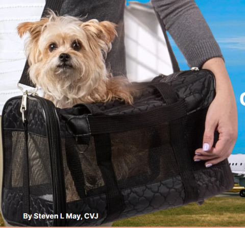One Hour Into the Flight: What Delta 694 Reveals About the Gaps in Animal Air Travel